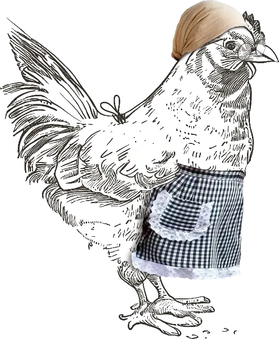 gallina con delantal