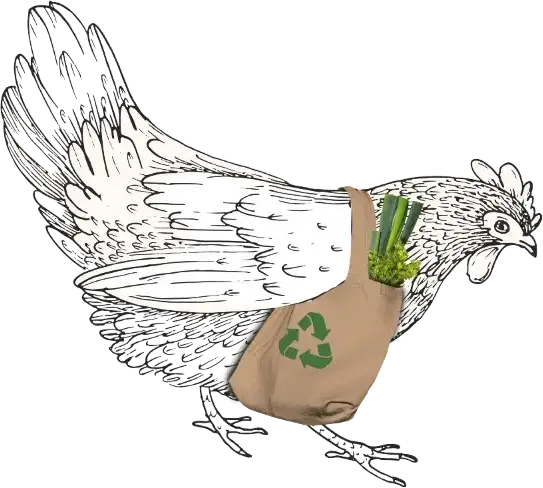 gallina con una bolsa eco