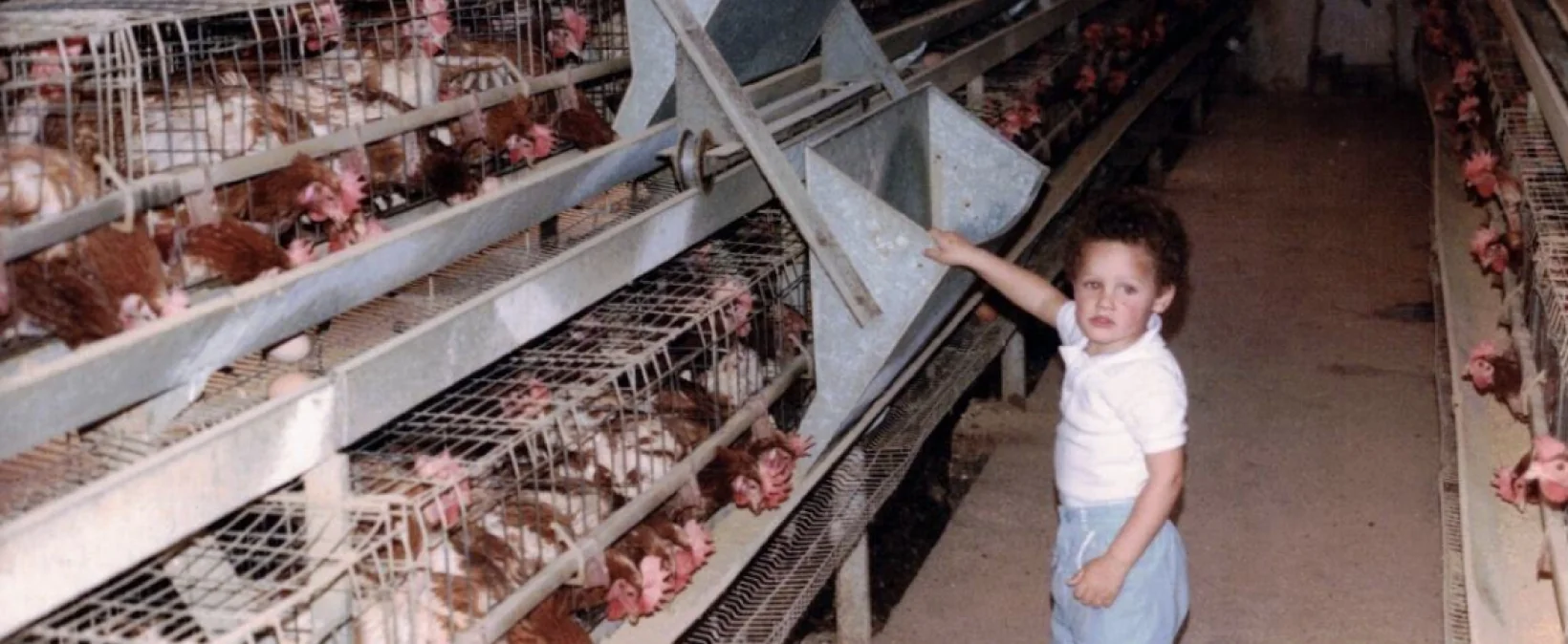 niño con gallinas