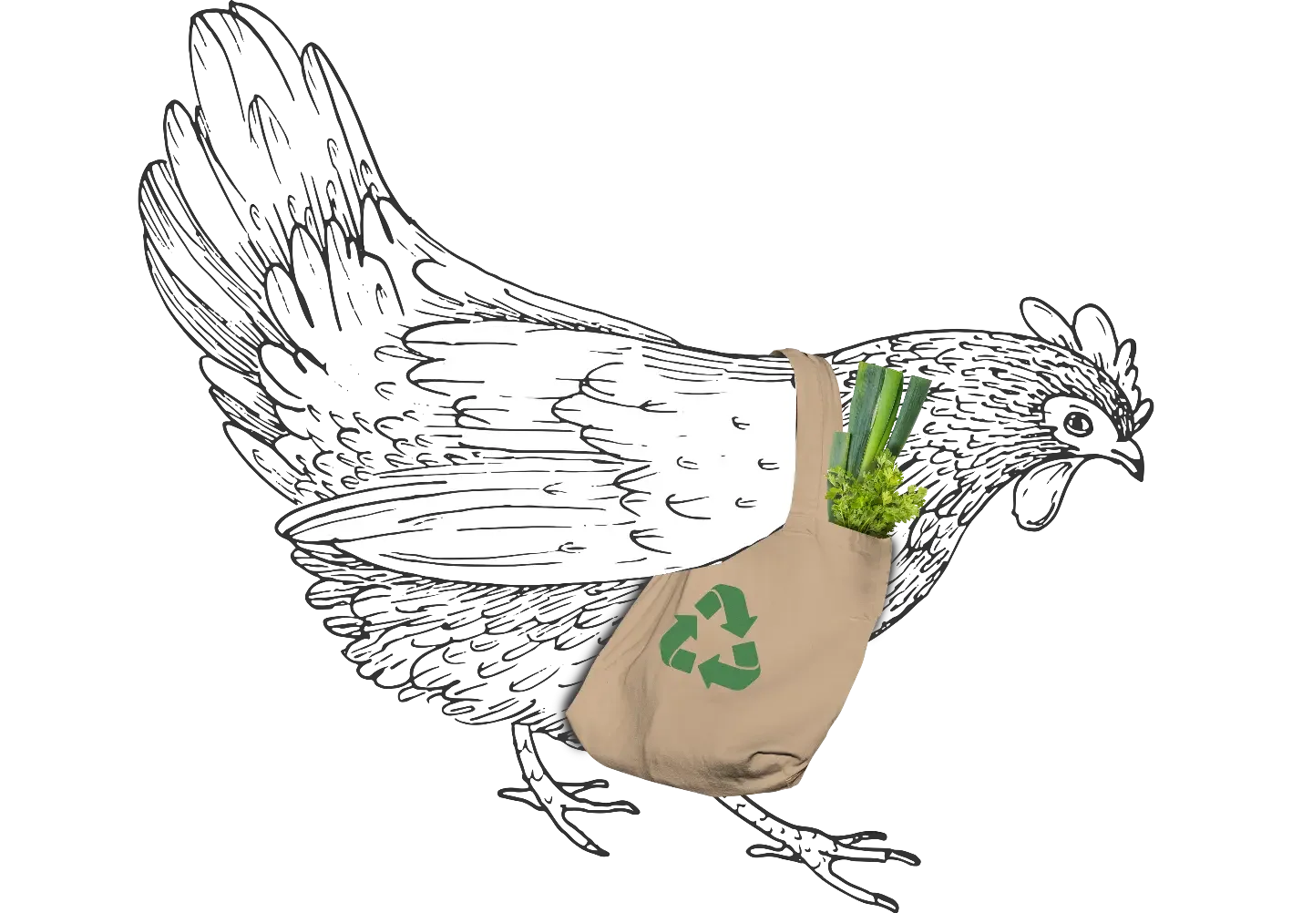 una gallina con una bolsa eco